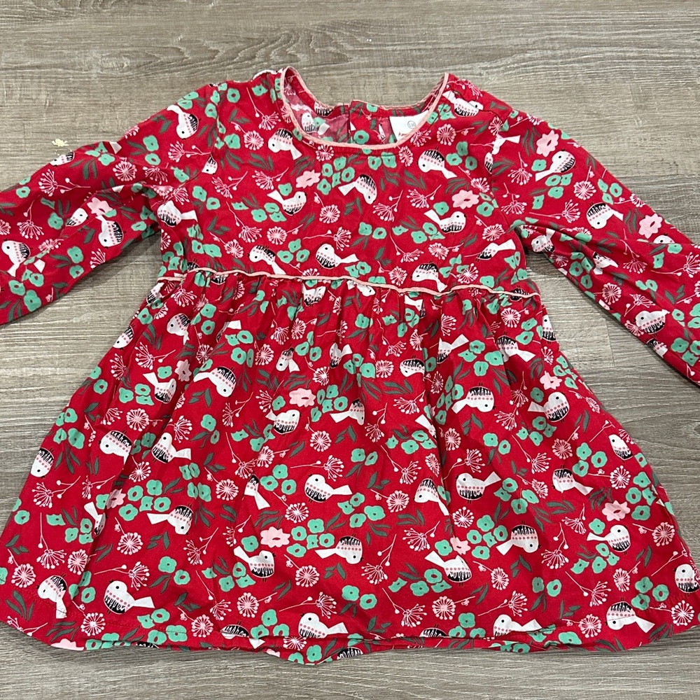 Hanna Andersson Red and Green Bird Print Top